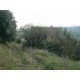 Properties for Sale_Farmhouse Il Mandorlo in Le Marche_4